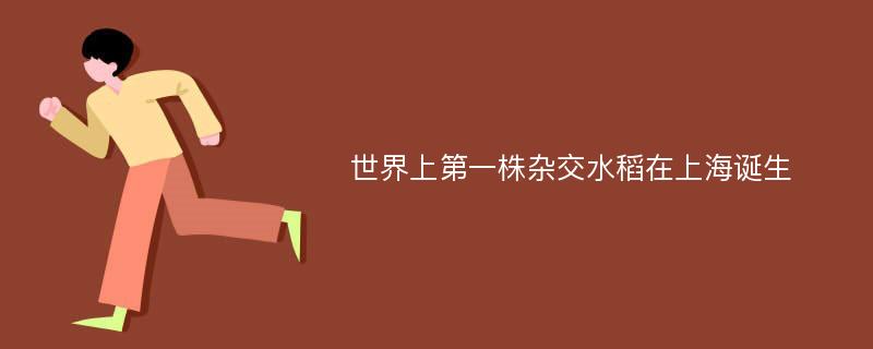 世界上第一株杂交水稻在上海诞生