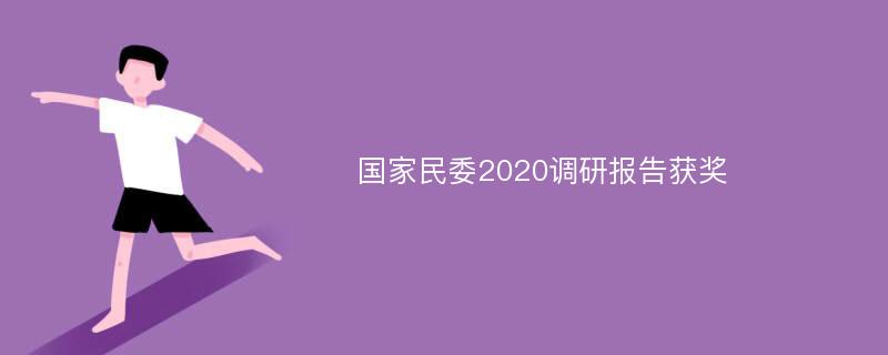 国家民委2020调研报告获奖